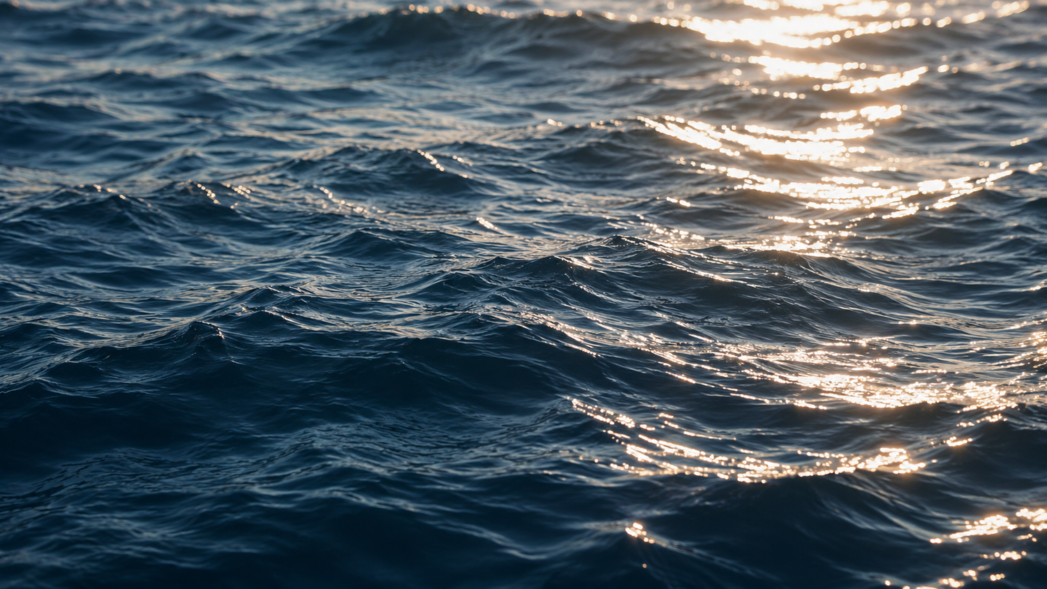Waves on a body of water with sunlight reflecting off the surface